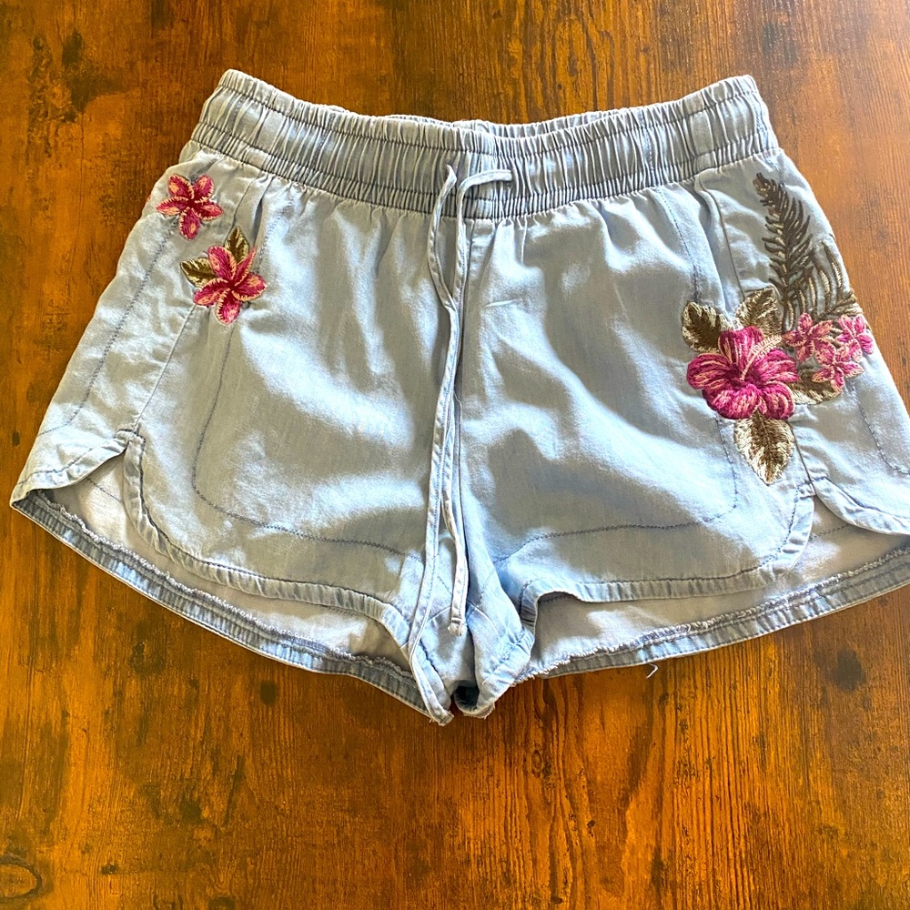 Express embroidered shorts